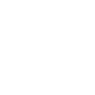 Viiishzin's emblem