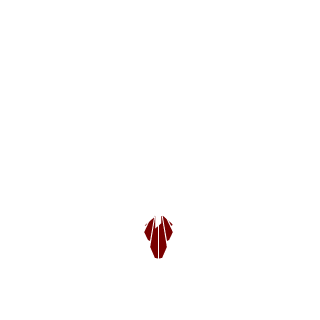 GBar1080's emblem