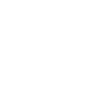 labfi's emblem