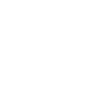 TheMikkoMies's emblem