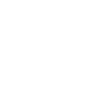 Vlki1337's emblem