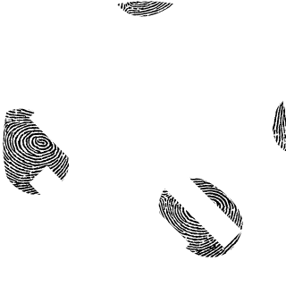 weyrt's emblem