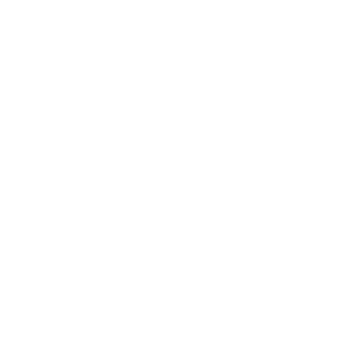 BocToK36's emblem