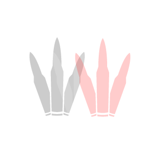 BAYLON1720's emblem