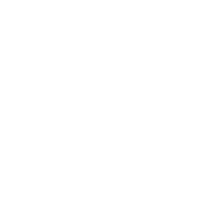 X-TheLancer-X's emblem
