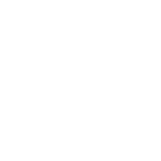 ZKTMoriz's emblem