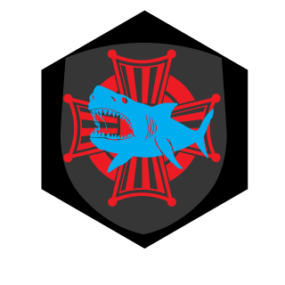FSDCombat's emblem