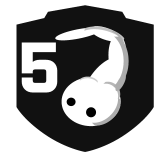 monkey_fIy's emblem