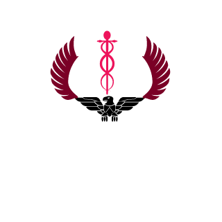 the-eagle-swe's emblem