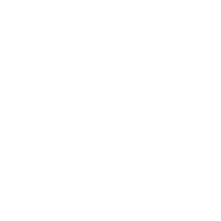 1novi4ok's emblem