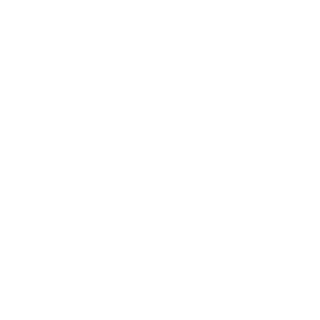 SkyeRay's emblem