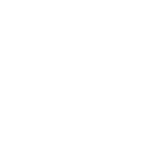 ZEPPELLI___SA's emblem