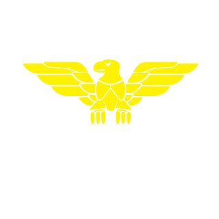 808Paradox's emblem