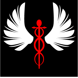 31xYARRAKx31's emblem
