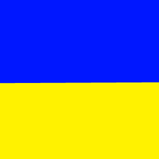 1Medved_UA1's emblem