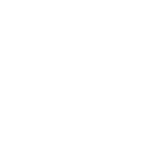 BlackHornCZ's emblem