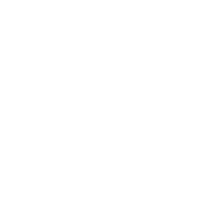 1df8a5c5b580298d's emblem