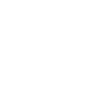 Brionsong's emblem