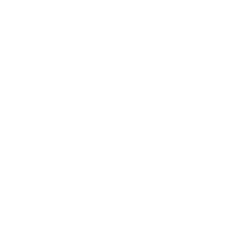 Danntes12's emblem