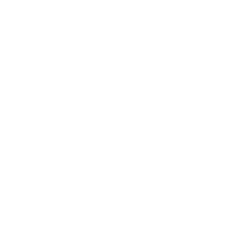 prokomsegnatys's emblem