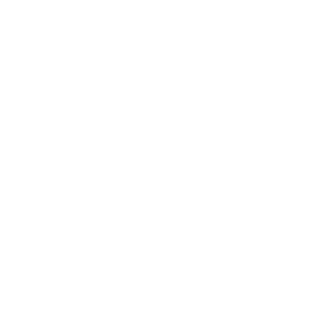 FN-1198's emblem