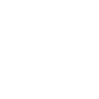 eybroomz's emblem