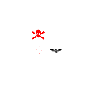 SkullWhaka-NZ's emblem