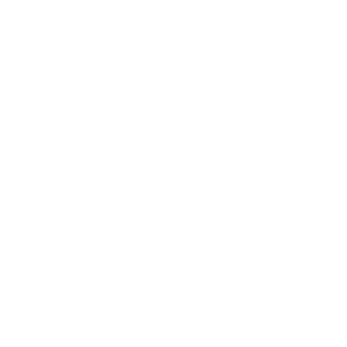 SpongiChief's emblem