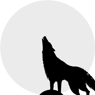 DEATHFURY93's emblem