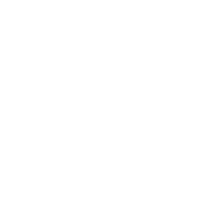 0NuklearPinguin0's emblem