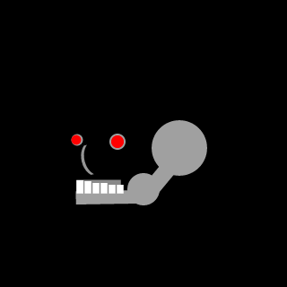 GreenBerets_XYZ's emblem
