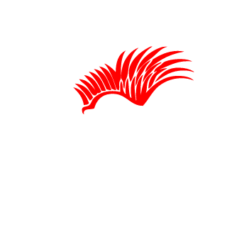 Silent Hunter's emblem