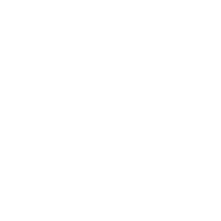 027533ce119a0ceb's emblem