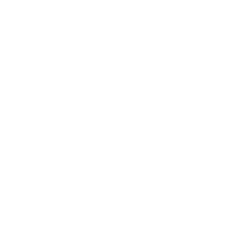 SloppyPlopperson's emblem