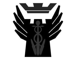 llao37's emblem
