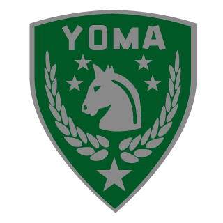 -HERO-CHYI's emblem