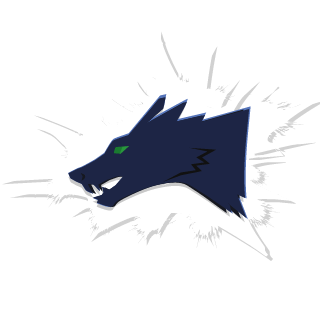 Ryker1243's emblem