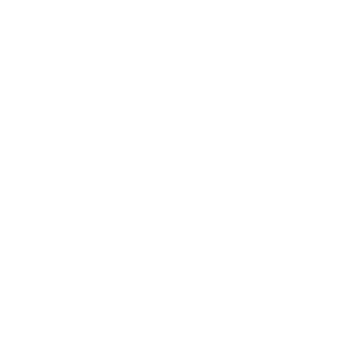 SmallsNinety's emblem
