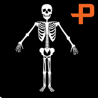 xXPacSnoopXx's emblem
