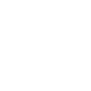 9307f8c99c11a838's emblem
