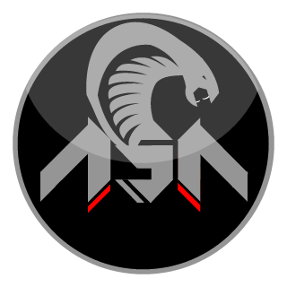 ASA Gaming's emblem