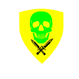 iKing17's emblem