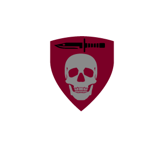 Roudi2222's emblem