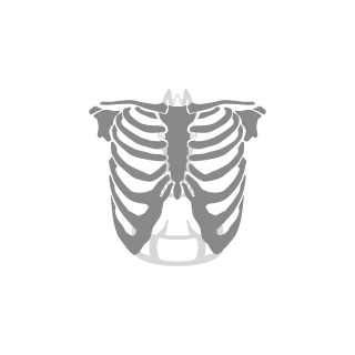 IIIIDiASIIII's emblem