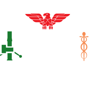 PSYCHO361's emblem