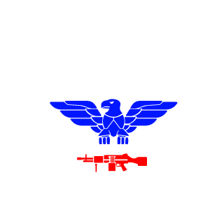 SuperSoldier229's emblem