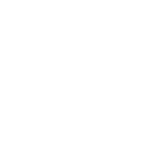 Nerdmoose's emblem
