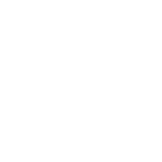 AccuKORE's emblem