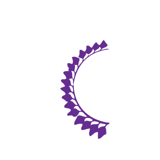 Lesnuagesciel's emblem