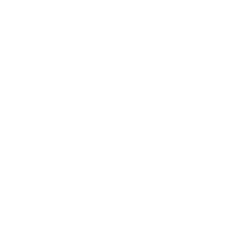 ChzaGeek's emblem